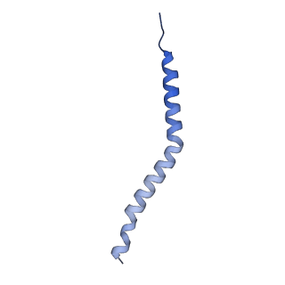 26455_7udb_C_v1-1
Cryo-EM structure of a synaptobrevin-Munc18-1-syntaxin-1 complex class 2