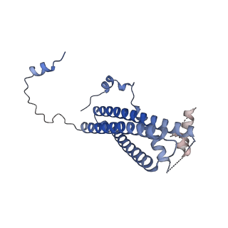 26456_7udc_B_v1-1
cryo-EM structures of a synaptobrevin-Munc18-1-syntaxin-1 complex class1