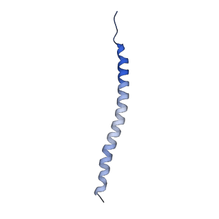 26456_7udc_C_v1-1
cryo-EM structures of a synaptobrevin-Munc18-1-syntaxin-1 complex class1