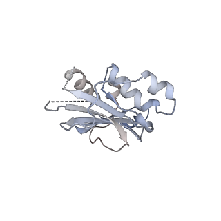 26458_7uds_A_v1-2
Structure of lineage I (Pinneo) Lassa virus glycoprotein bound to Fab 25.10C
