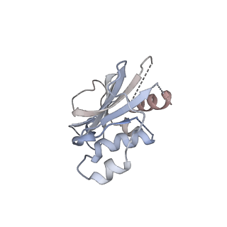 26458_7uds_B_v1-2
Structure of lineage I (Pinneo) Lassa virus glycoprotein bound to Fab 25.10C