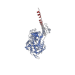 26459_7udt_D_v1-0
cryo-EM structure of the rigor state wild type myosin-15-F-actin complex (symmetry expansion and re-centering)
