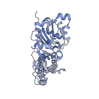26460_7udu_A_v1-0
cryo-EM structure of the ADP state wild type myosin-15-F-actin complex (symmetry expansion and re-centering)