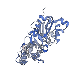 26460_7udu_B_v1-0
cryo-EM structure of the ADP state wild type myosin-15-F-actin complex (symmetry expansion and re-centering)