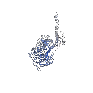 26460_7udu_D_v1-0
cryo-EM structure of the ADP state wild type myosin-15-F-actin complex (symmetry expansion and re-centering)