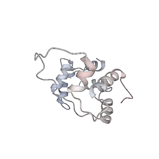26460_7udu_E_v1-0
cryo-EM structure of the ADP state wild type myosin-15-F-actin complex (symmetry expansion and re-centering)
