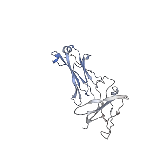 20751_6ue9_E_v1-2
Structure of tetrameric sIgA complex (Class 2)