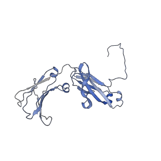20751_6ue9_F_v1-2
Structure of tetrameric sIgA complex (Class 2)