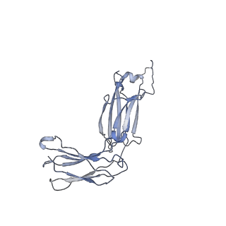 20751_6ue9_G_v1-2
Structure of tetrameric sIgA complex (Class 2)