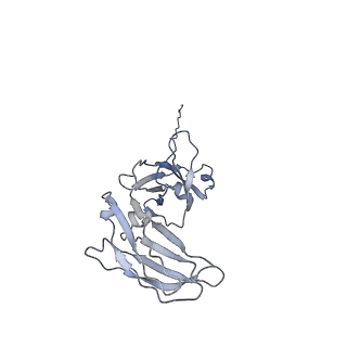 20751_6ue9_H_v1-2
Structure of tetrameric sIgA complex (Class 2)
