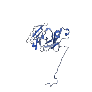 20752_6uea_B_v1-2
Structure of pentameric sIgA complex