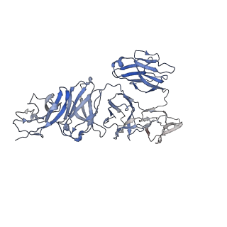 20752_6uea_C_v1-2
Structure of pentameric sIgA complex