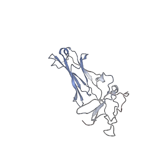 20752_6uea_E_v1-2
Structure of pentameric sIgA complex