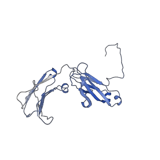 20752_6uea_F_v1-2
Structure of pentameric sIgA complex