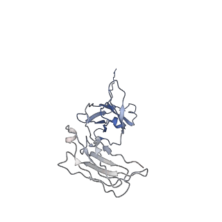 20752_6uea_H_v1-2
Structure of pentameric sIgA complex