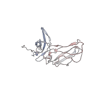 20752_6uea_J_v1-2
Structure of pentameric sIgA complex