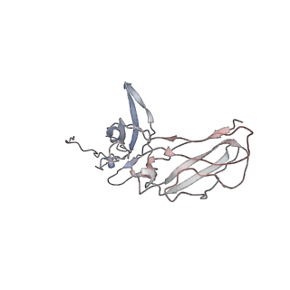 20752_6uea_J_v2-0
Structure of pentameric sIgA complex