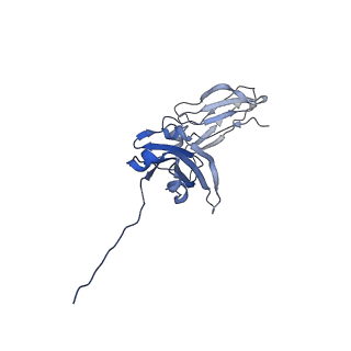 20752_6uea_K_v1-2
Structure of pentameric sIgA complex