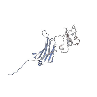20752_6uea_L_v1-2
Structure of pentameric sIgA complex