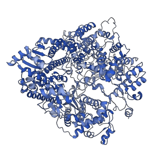 20754_6uen_A_v1-1
Cryo-EM structure of the respiratory syncytial virus RNA polymerase