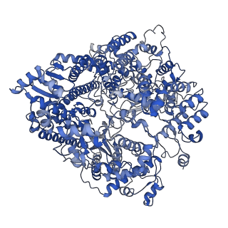 20754_6uen_A_v1-2
Cryo-EM structure of the respiratory syncytial virus RNA polymerase