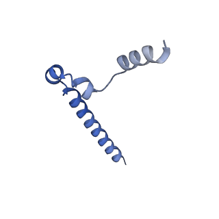 20754_6uen_B_v1-1
Cryo-EM structure of the respiratory syncytial virus RNA polymerase