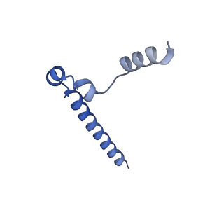 20754_6uen_B_v1-2
Cryo-EM structure of the respiratory syncytial virus RNA polymerase