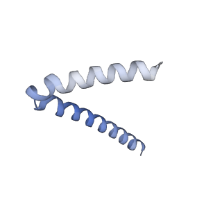 20754_6uen_C_v1-1
Cryo-EM structure of the respiratory syncytial virus RNA polymerase