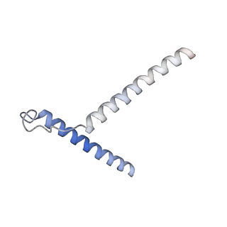 20754_6uen_D_v1-2
Cryo-EM structure of the respiratory syncytial virus RNA polymerase