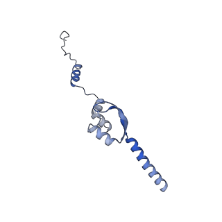 20754_6uen_E_v1-1
Cryo-EM structure of the respiratory syncytial virus RNA polymerase