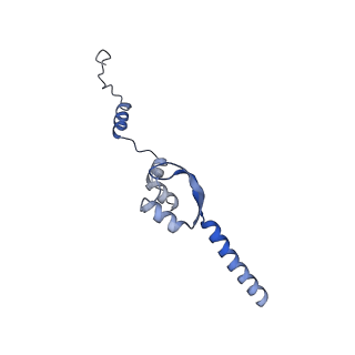 20754_6uen_E_v1-2
Cryo-EM structure of the respiratory syncytial virus RNA polymerase