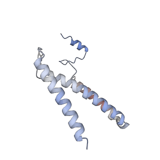 26471_7ueb_C_v1-1
Photosynthetic assembly of Chlorobaculum tepidum (RC-FMO2)