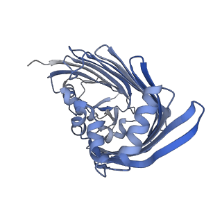 26471_7ueb_Y_v1-1
Photosynthetic assembly of Chlorobaculum tepidum (RC-FMO2)