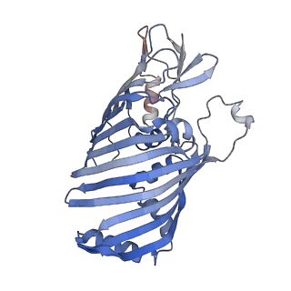 26471_7ueb_Z_v1-1
Photosynthetic assembly of Chlorobaculum tepidum (RC-FMO2)