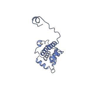 42161_8uee_B_v1-0
Atomic structure of Salmonella SipA/F-actin complex by cryo-EM