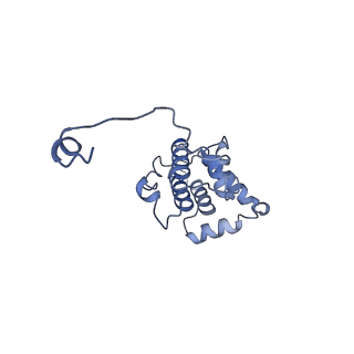 42161_8uee_C_v1-0
Atomic structure of Salmonella SipA/F-actin complex by cryo-EM