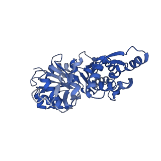 42161_8uee_F_v1-0
Atomic structure of Salmonella SipA/F-actin complex by cryo-EM