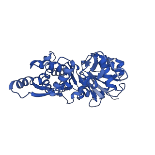 42161_8uee_H_v1-0
Atomic structure of Salmonella SipA/F-actin complex by cryo-EM