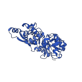 42161_8uee_I_v1-0
Atomic structure of Salmonella SipA/F-actin complex by cryo-EM