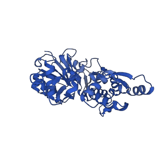 42161_8uee_J_v1-0
Atomic structure of Salmonella SipA/F-actin complex by cryo-EM