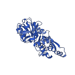 42161_8uee_K_v1-0
Atomic structure of Salmonella SipA/F-actin complex by cryo-EM
