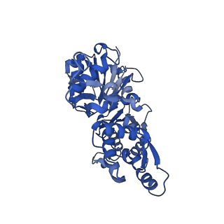 42161_8uee_L_v1-0
Atomic structure of Salmonella SipA/F-actin complex by cryo-EM