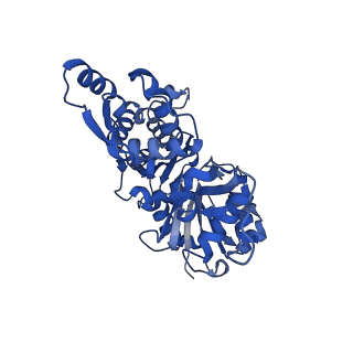 42161_8uee_M_v1-0
Atomic structure of Salmonella SipA/F-actin complex by cryo-EM