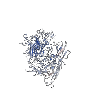 26475_7ufg_A_v1-0
Cryo-EM structure of PAPP-A in complex with IGFBP5