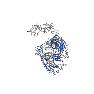26475_7ufg_B_v1-0
Cryo-EM structure of PAPP-A in complex with IGFBP5