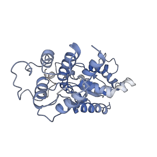 26476_7ufi_1_v1-2
VchTnsC AAA+ ATPase with DNA, single heptamer