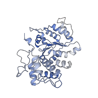 26476_7ufi_2_v1-2
VchTnsC AAA+ ATPase with DNA, single heptamer