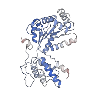 26476_7ufi_3_v1-2
VchTnsC AAA+ ATPase with DNA, single heptamer