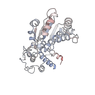 26476_7ufi_4_v1-2
VchTnsC AAA+ ATPase with DNA, single heptamer