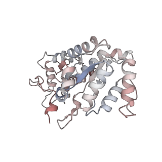 26476_7ufi_5_v1-2
VchTnsC AAA+ ATPase with DNA, single heptamer